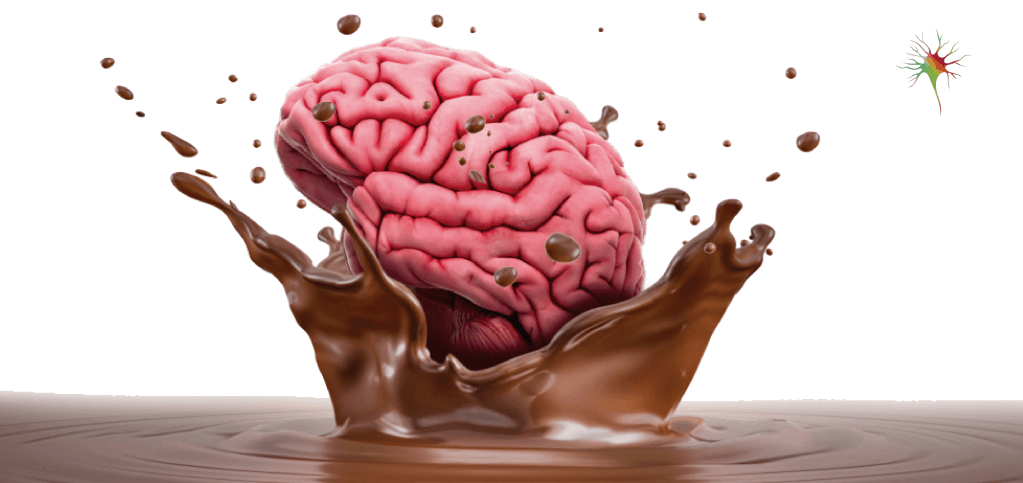 Chocolate: a luta entre córtex pré-frontal e área tegmental ventral.